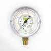 eng_pl_Pressure-gauge-REFCO-M2-250-DS-CLIM-58_2 REFCO MANOM. M2-250-DS-CLIM
